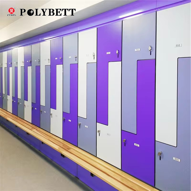 高品質の健康スイミング プール HPL ボードのトイレのパーティション ロッカー